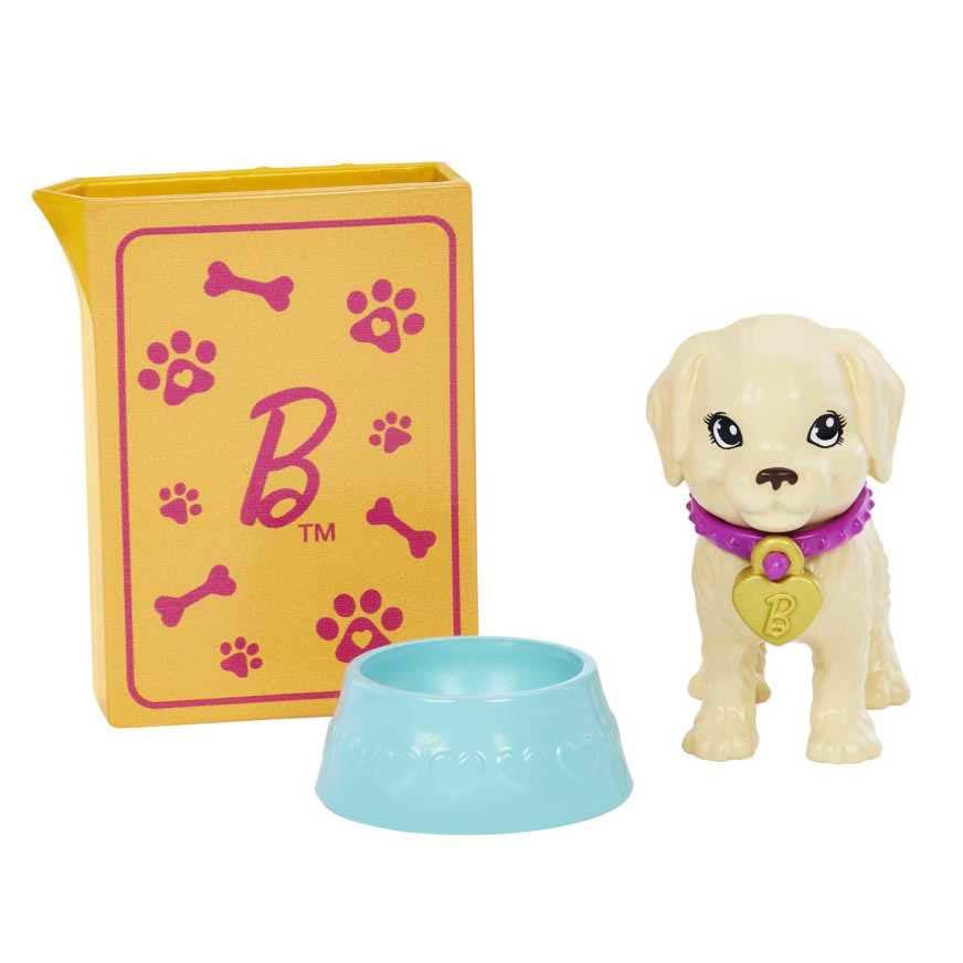 Set De Juego Barbie Adopta Un Perrito Latina