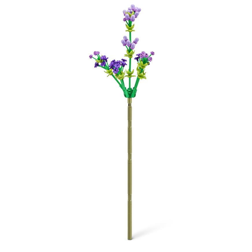 Cápsula Max Sorpresa Colección Rosa Tai Loy